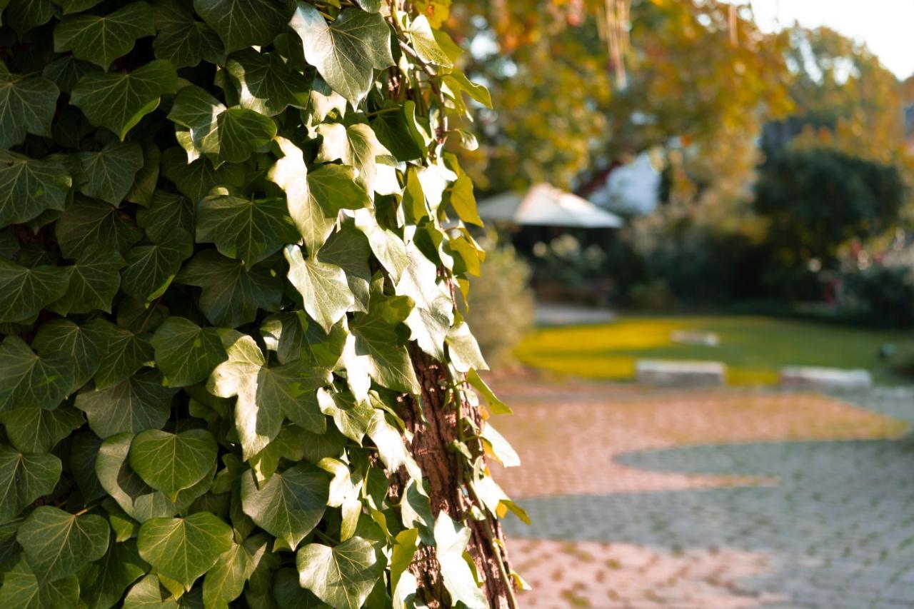Villa Benz Hotel Garni Schwetzingen Buitenkant foto